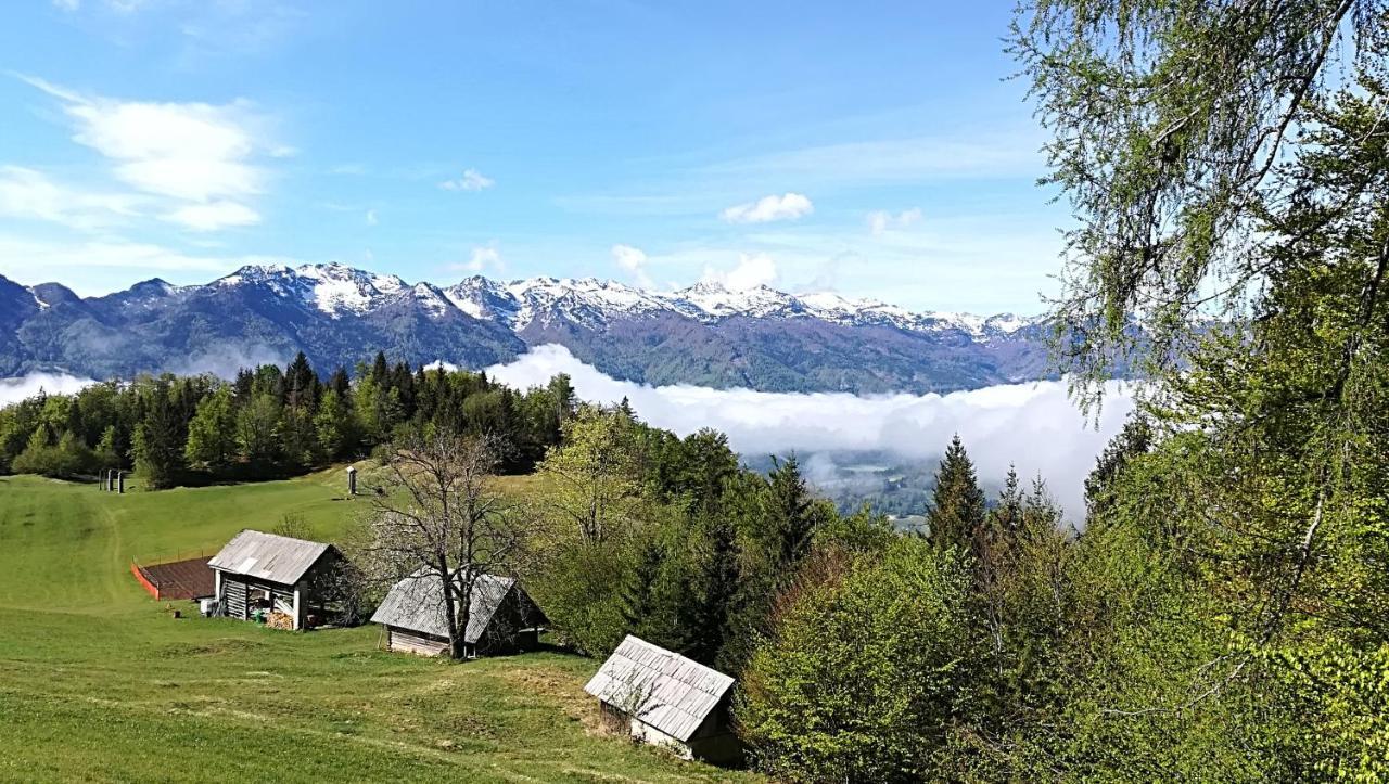 Apartments Pod Rodico Bohinjska Bistrica Eksteriør billede