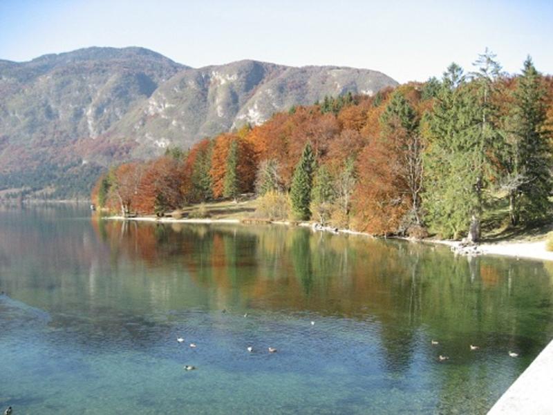 Apartments Pod Rodico Bohinjska Bistrica Eksteriør billede