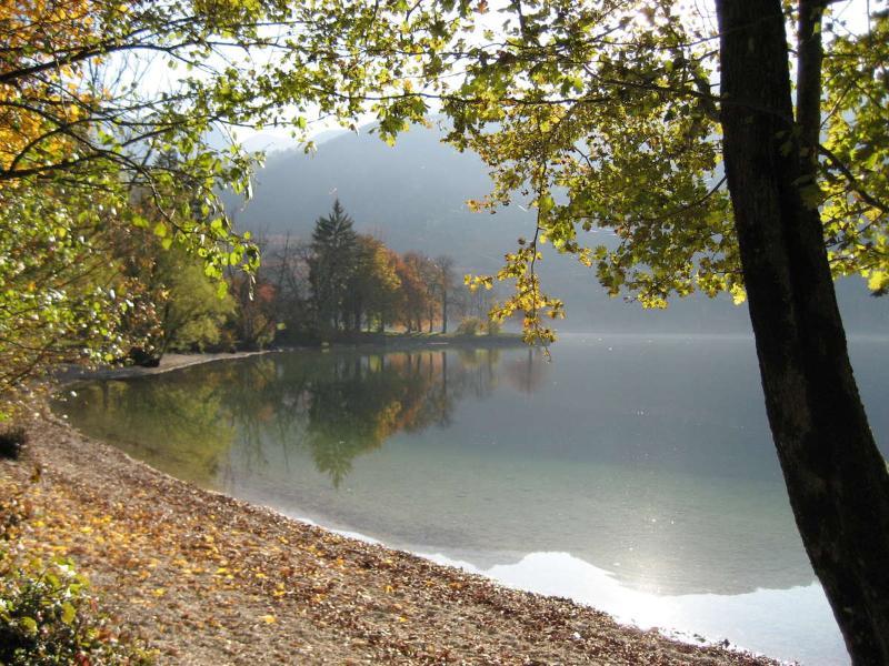 Apartments Pod Rodico Bohinjska Bistrica Eksteriør billede